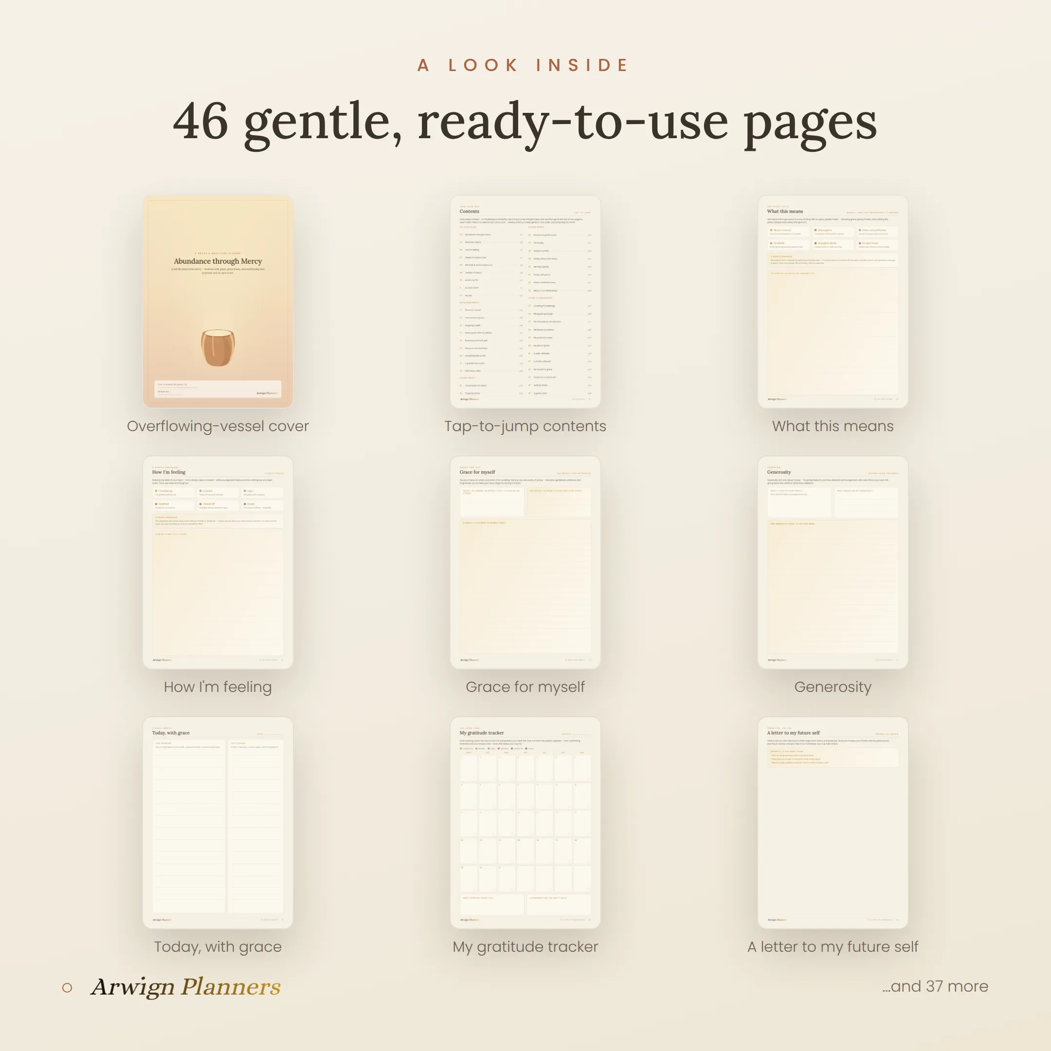 Abundance through Mercy — A Grace & Gratitude Planner — image 2