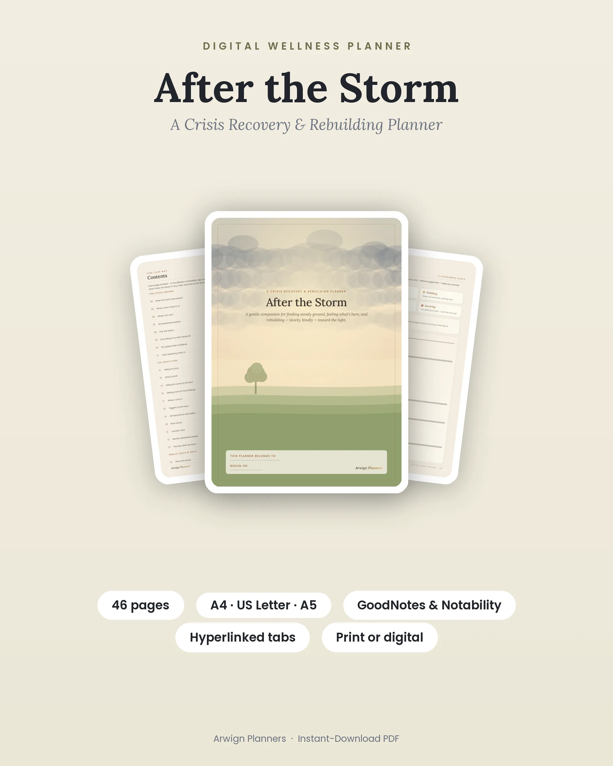 After the Storm — A Crisis Recovery & Rebuilding Planner cover