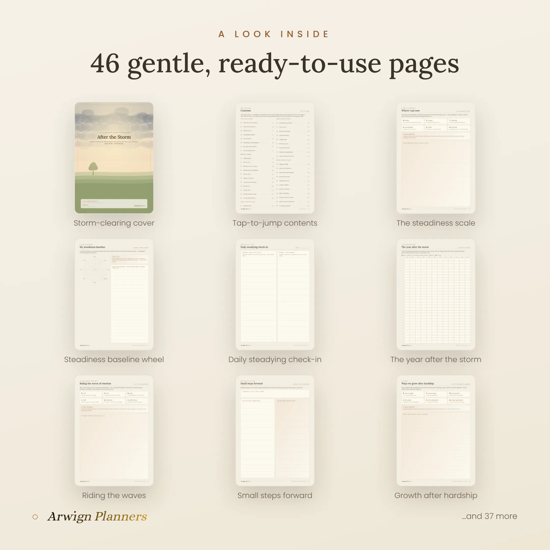 After the Storm — A Crisis Recovery & Rebuilding Planner — image 2