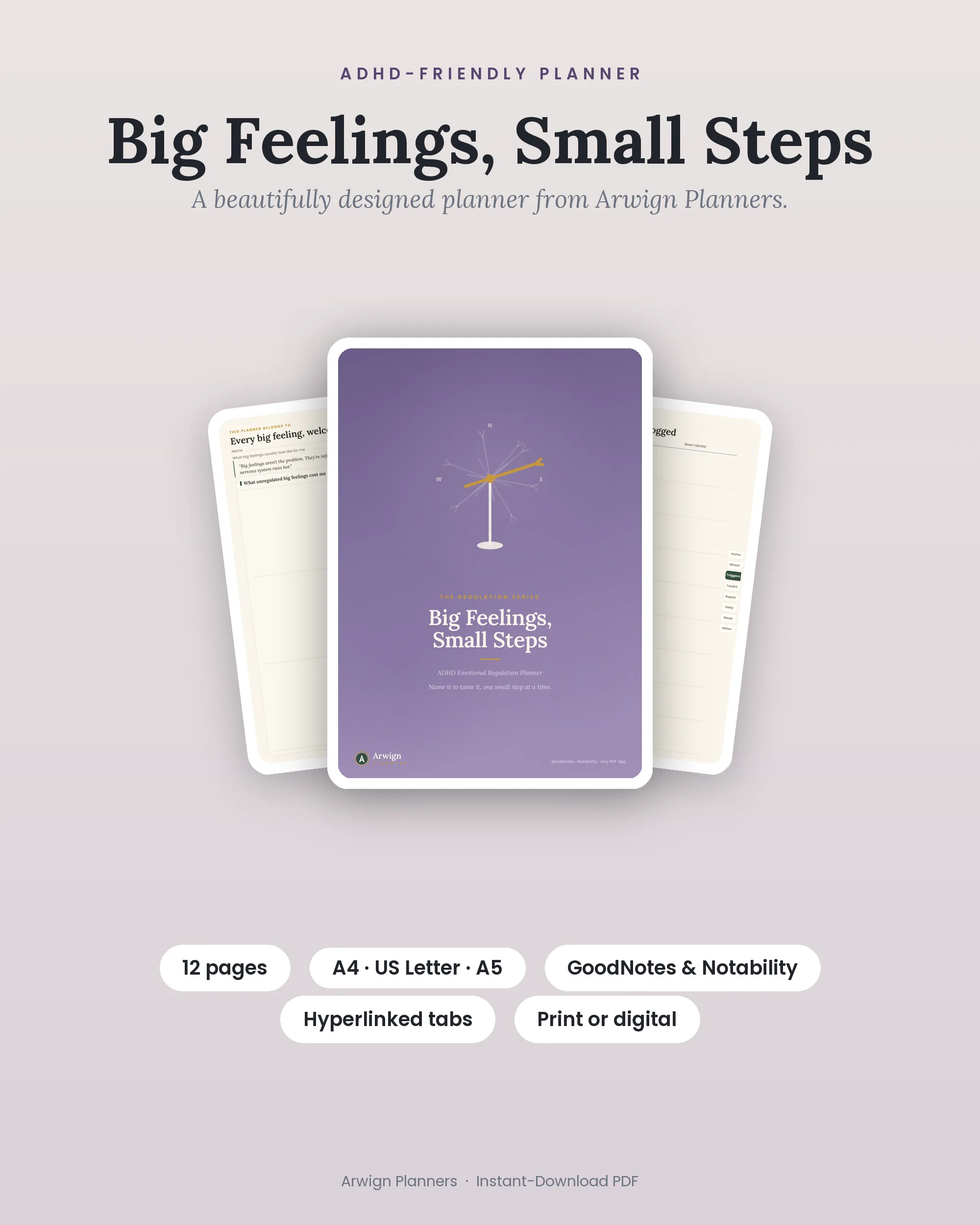 Big Feelings, Small Steps cover