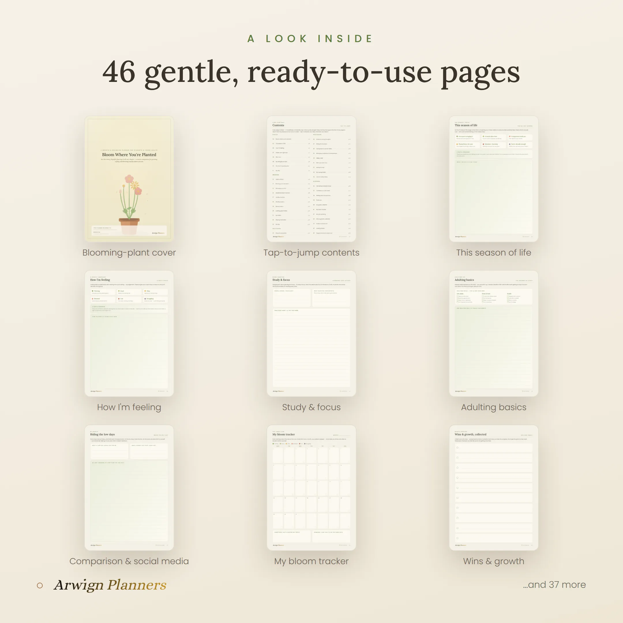 Bloom Where You're Planted — A Growth & Wellbeing Planner for Students & Young Adults — image 2