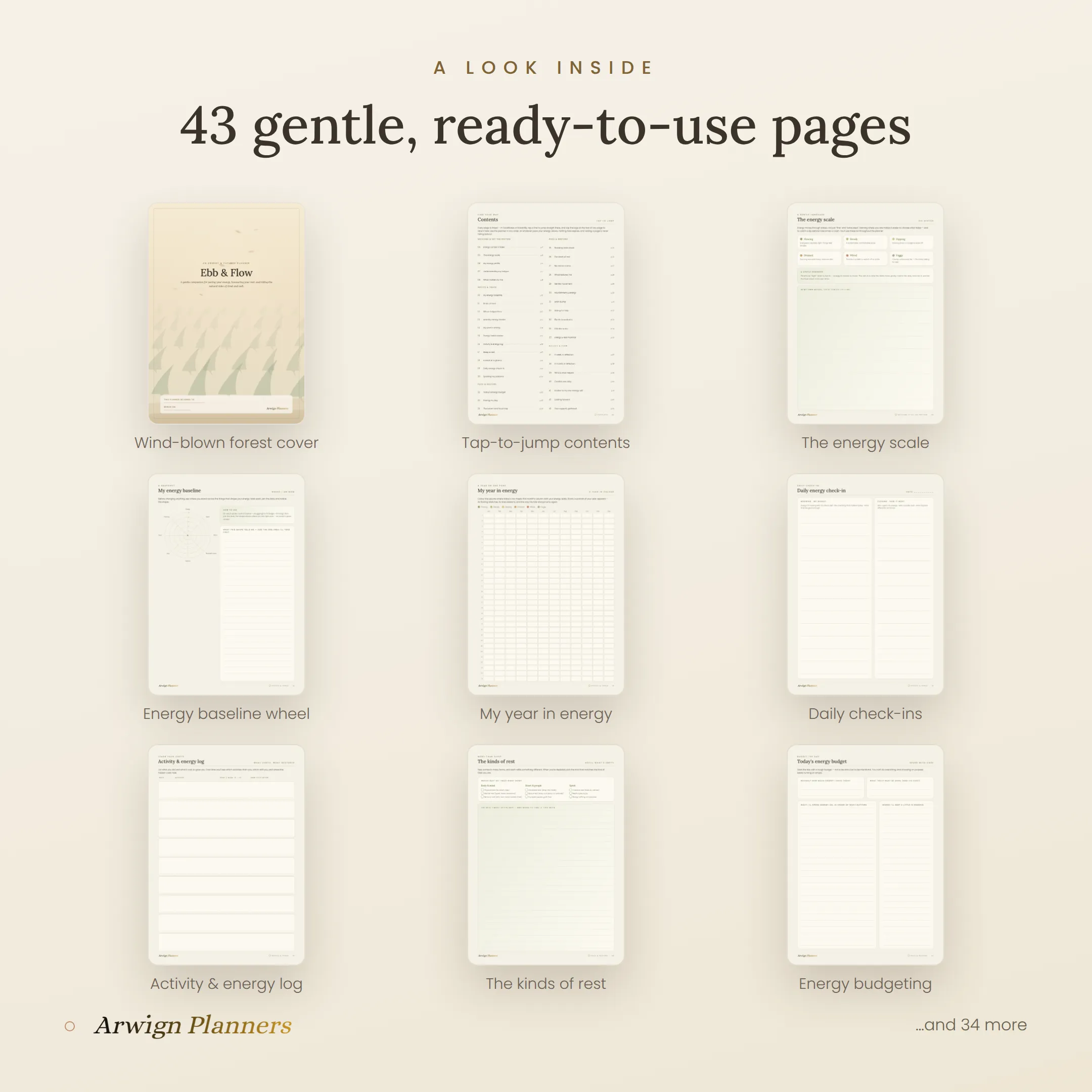 Ebb & Flow — Energy & Fatigue Planner — image 2