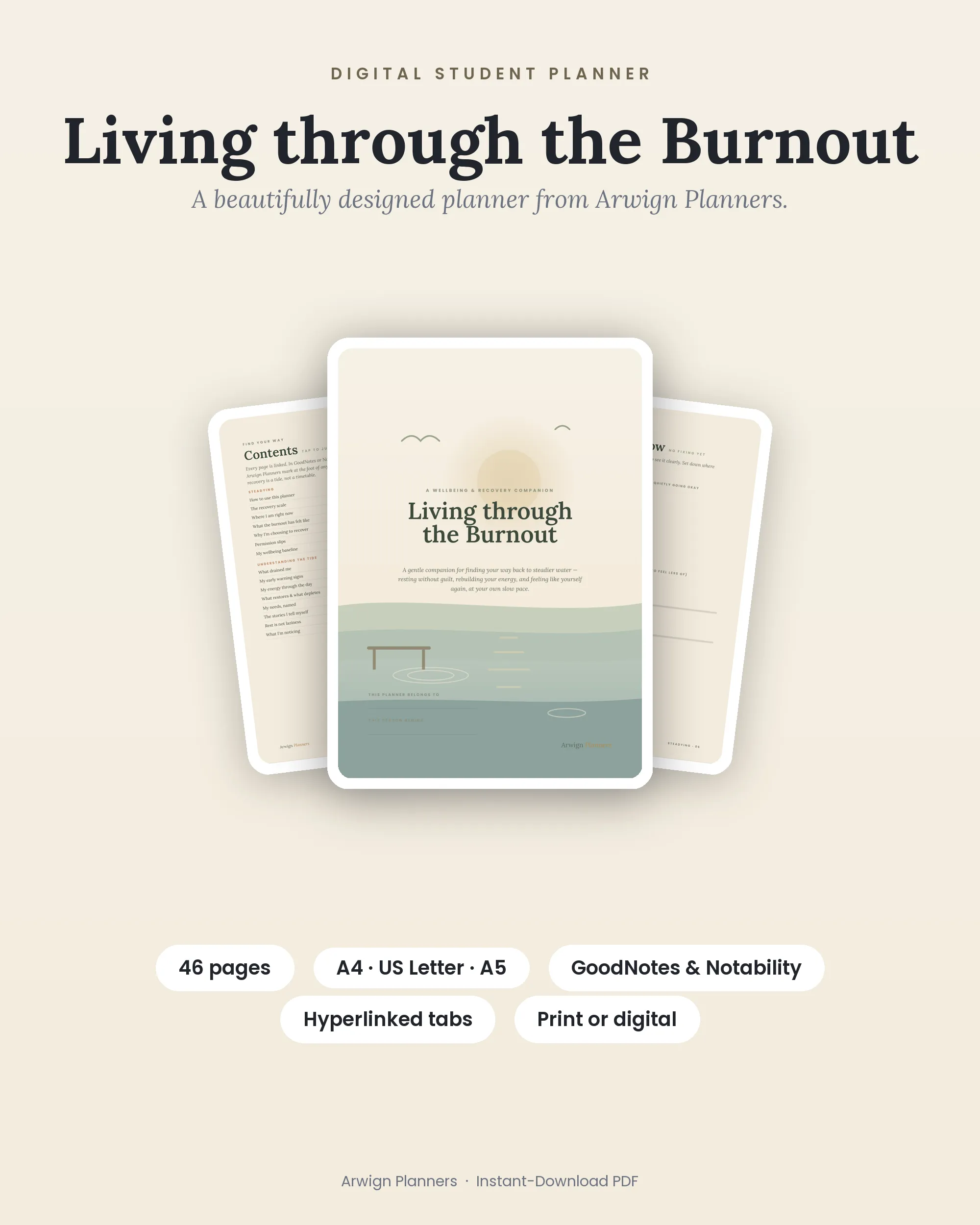 Living through the Burnout cover