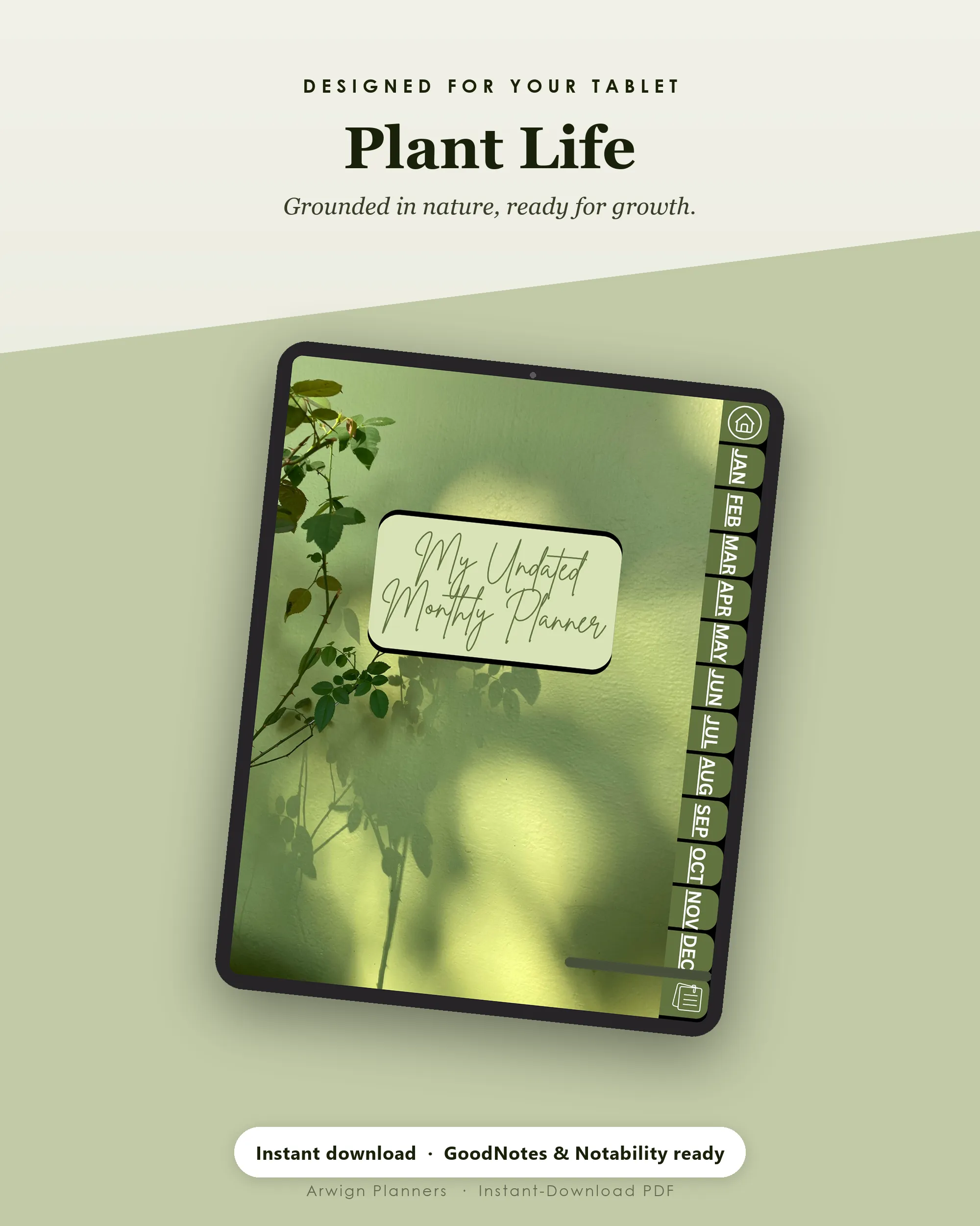 Plant Life — Botanical Photo — image 4