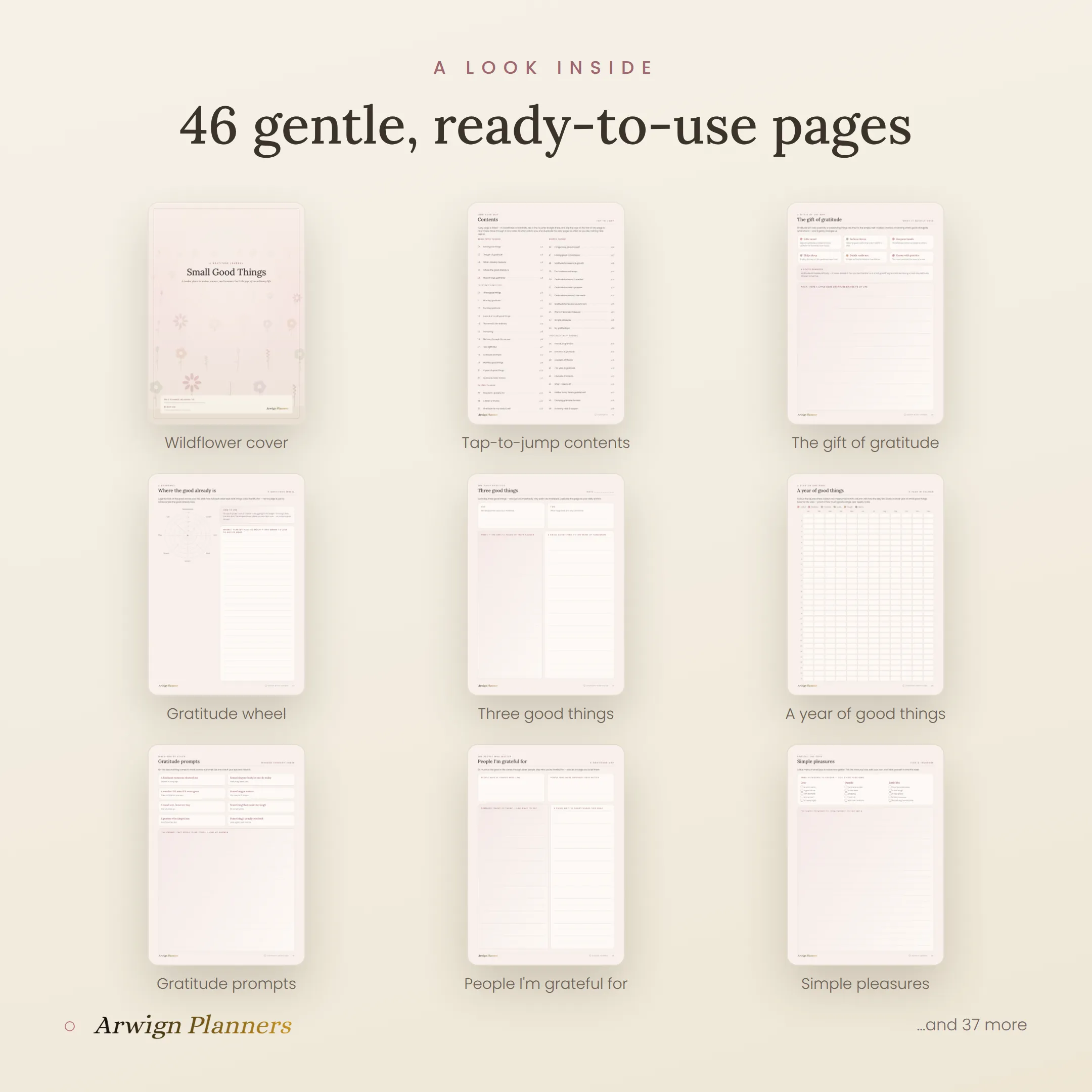 Small Good Things — A Gratitude Journal — image 2