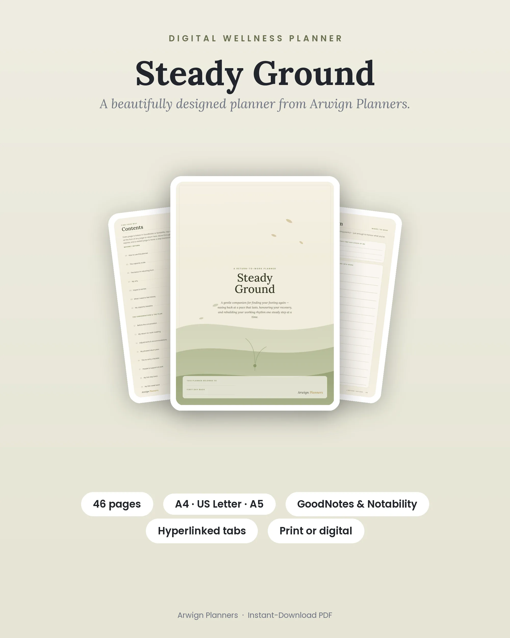 Steady Ground cover