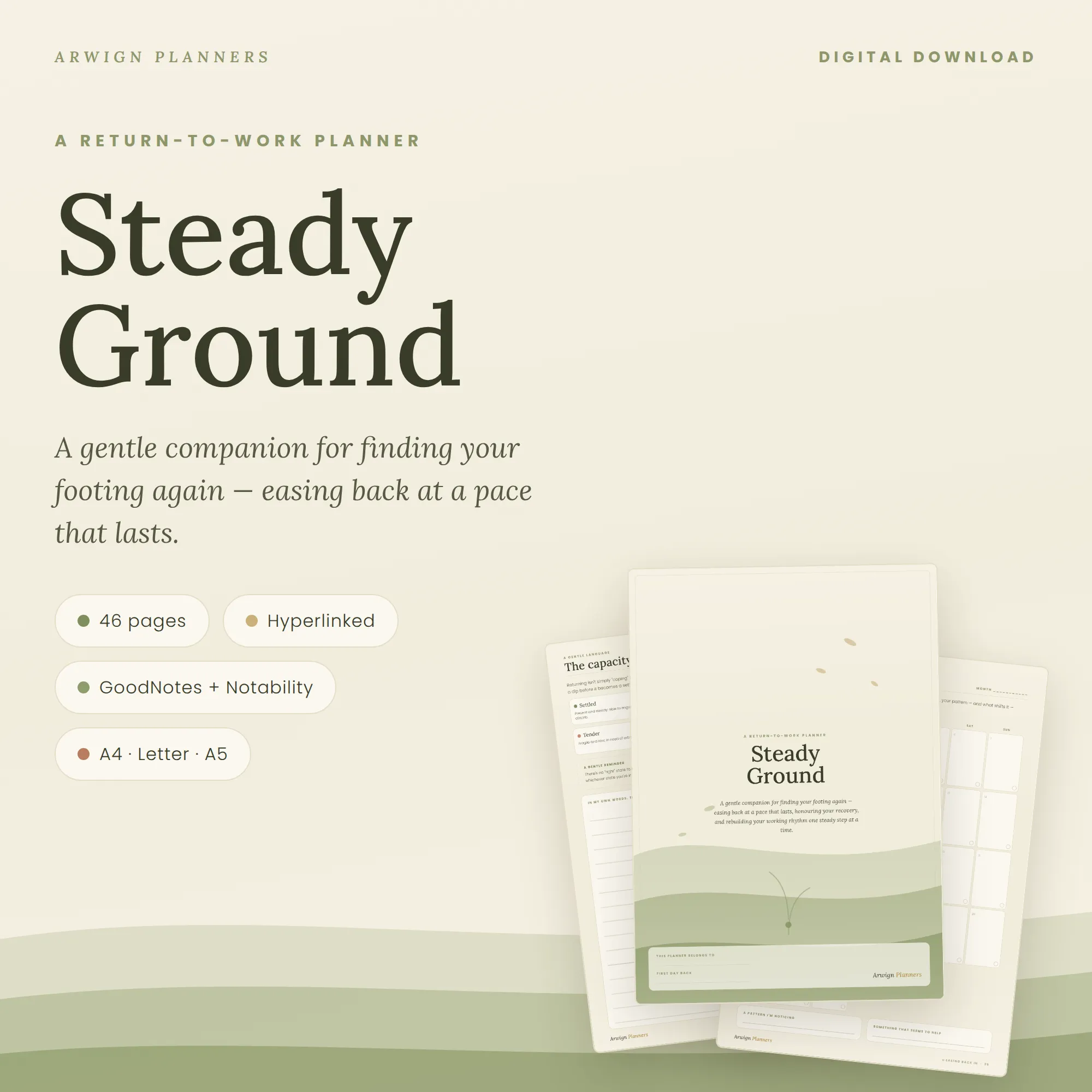 Steady Ground — image 2