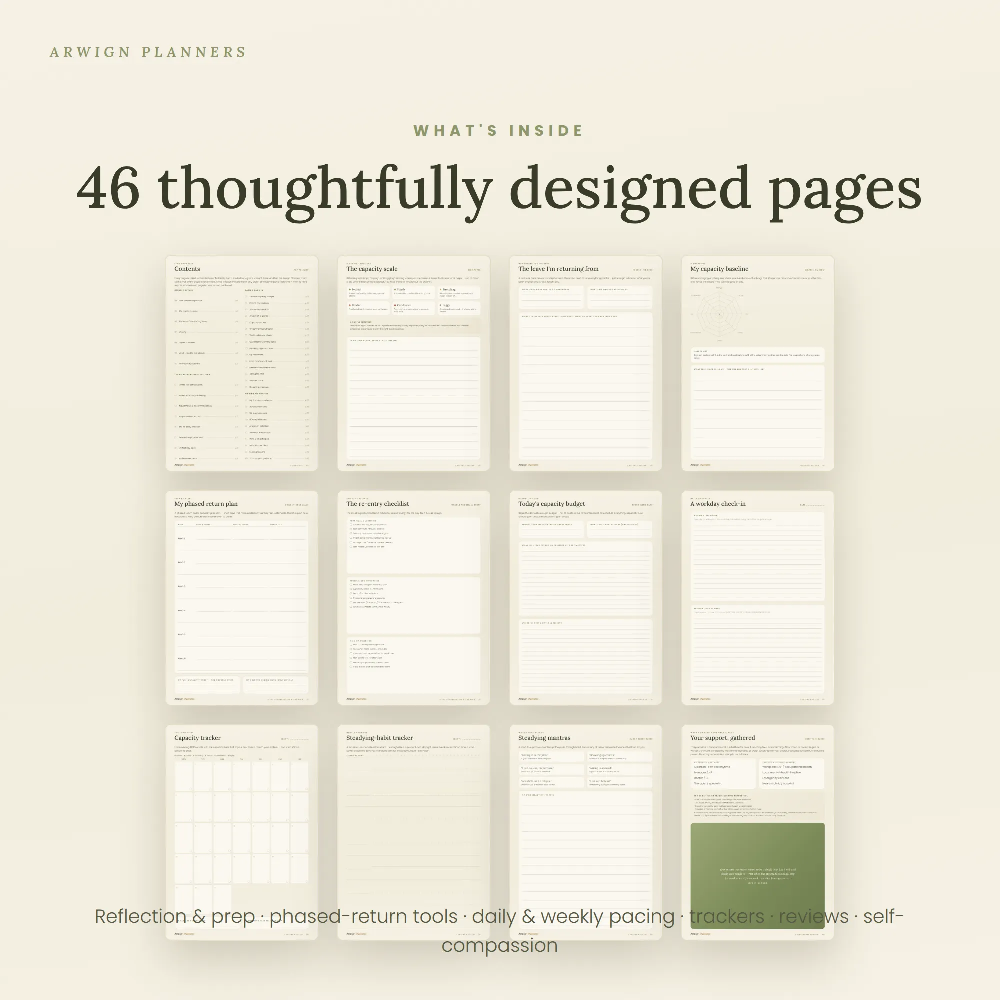 Steady Ground — image 4