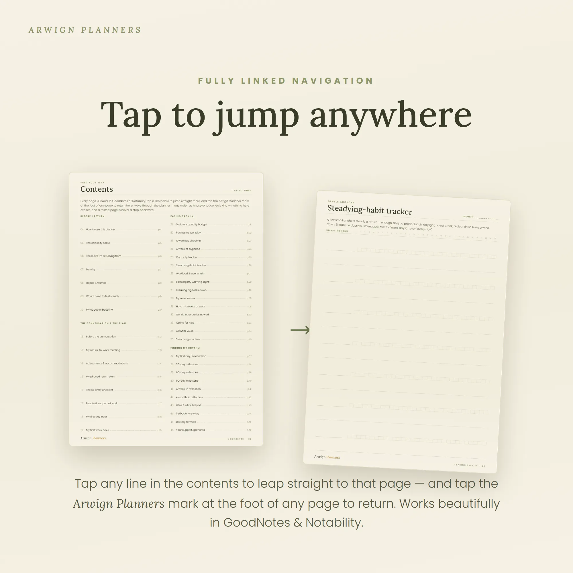 Steady Ground — image 5