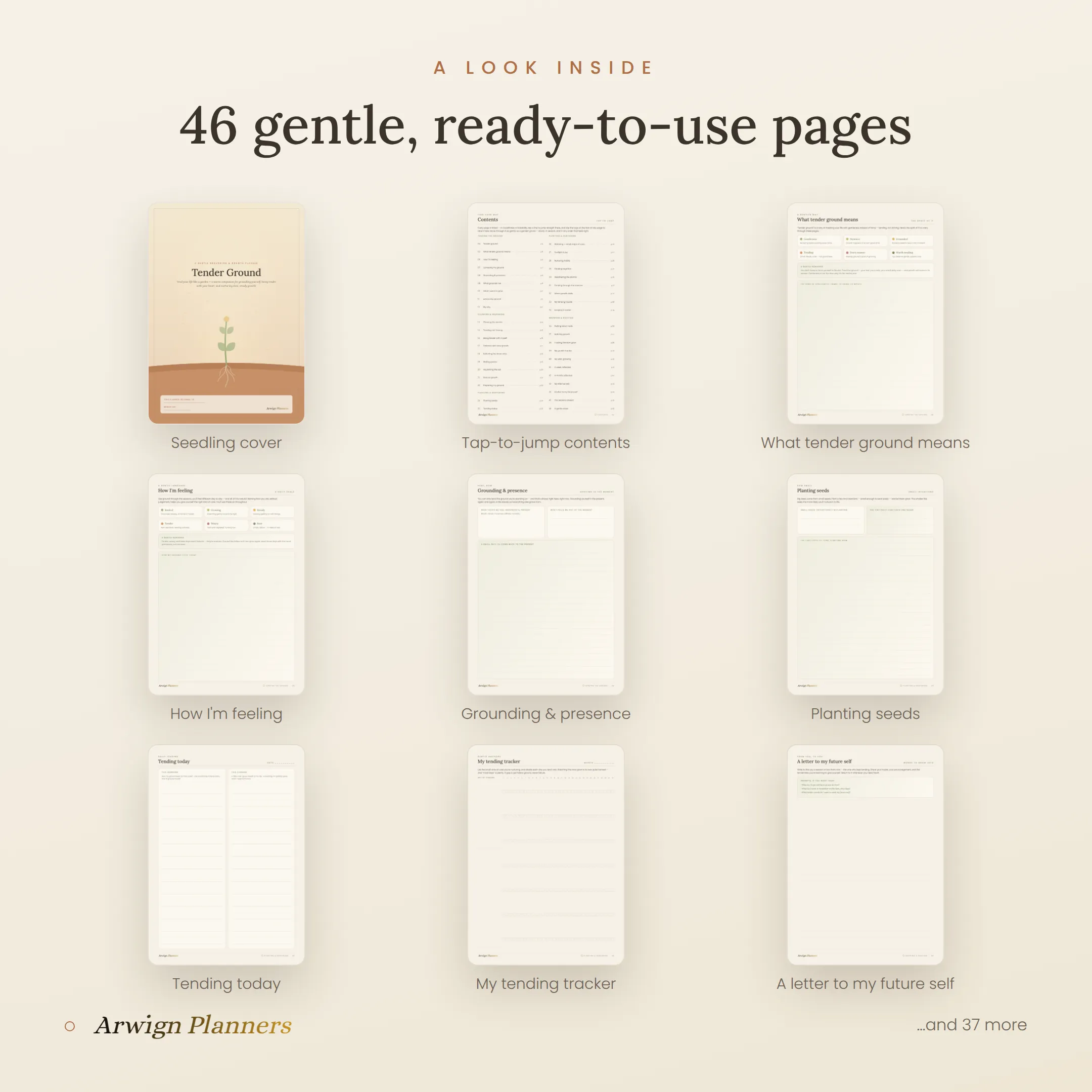 Tender Ground — A Gentle Grounding & Growth Planner — image 2