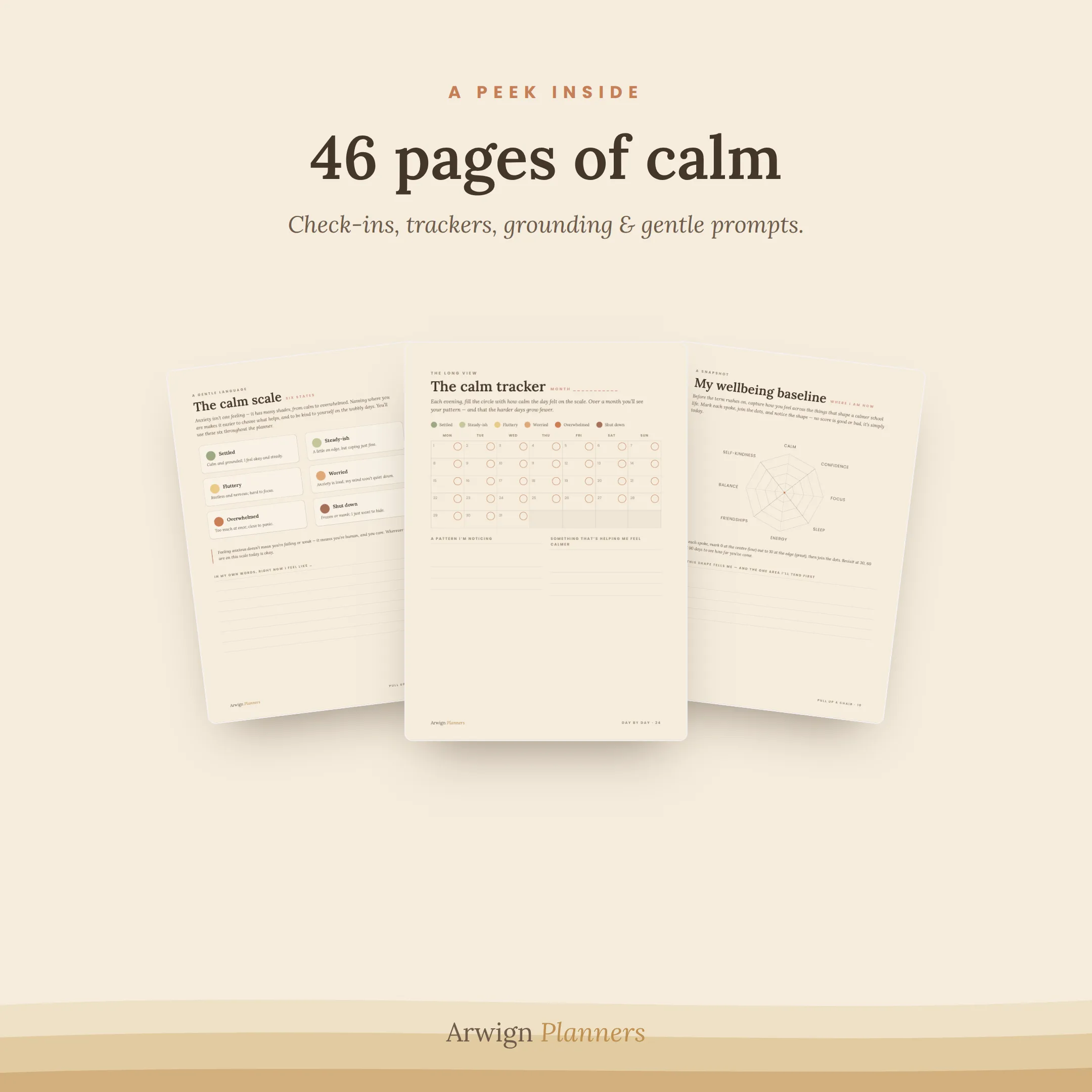 The Anxious Student's Companion — image 2