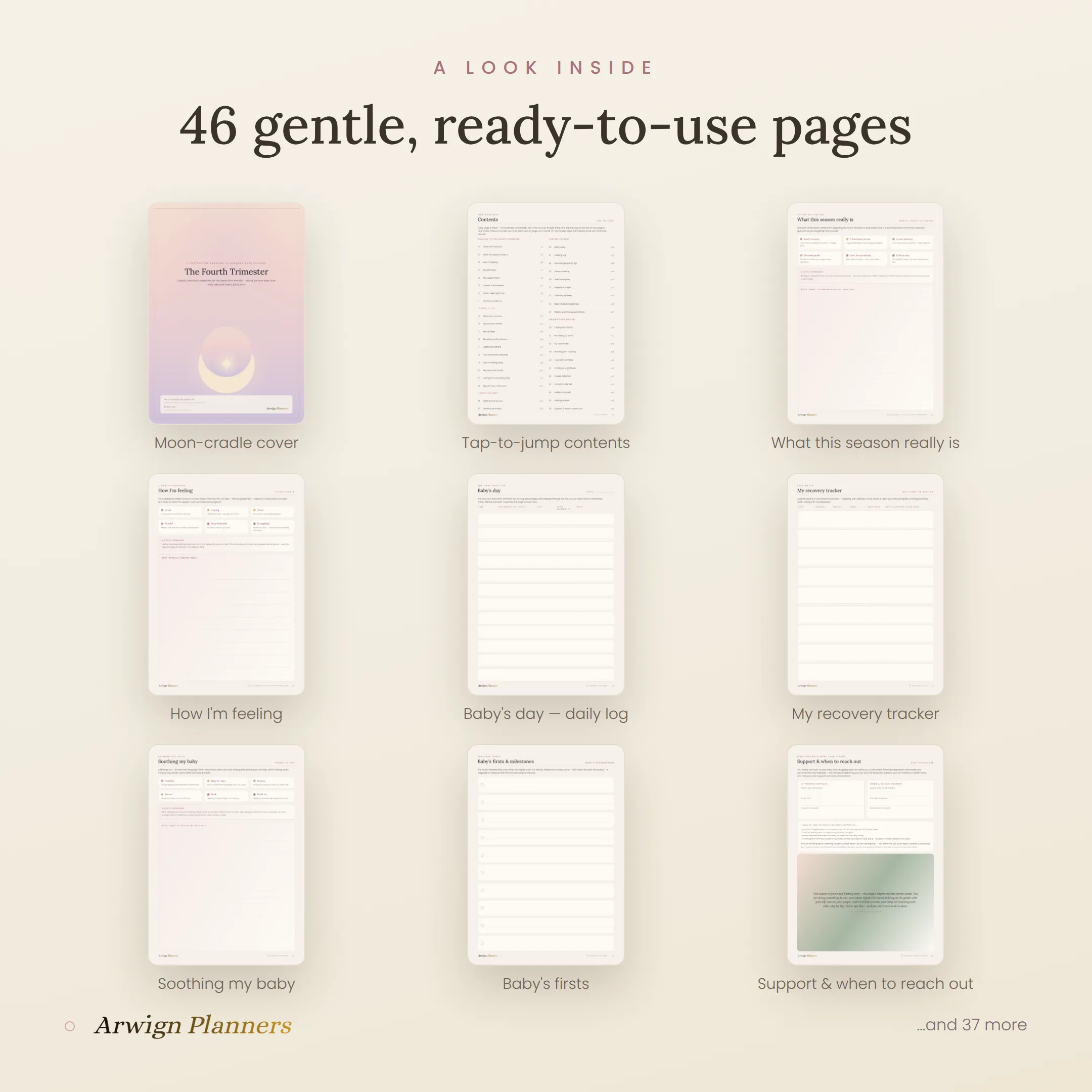 The Fourth Trimester — A Postpartum Recovery & Newborn Care Planner — image 2