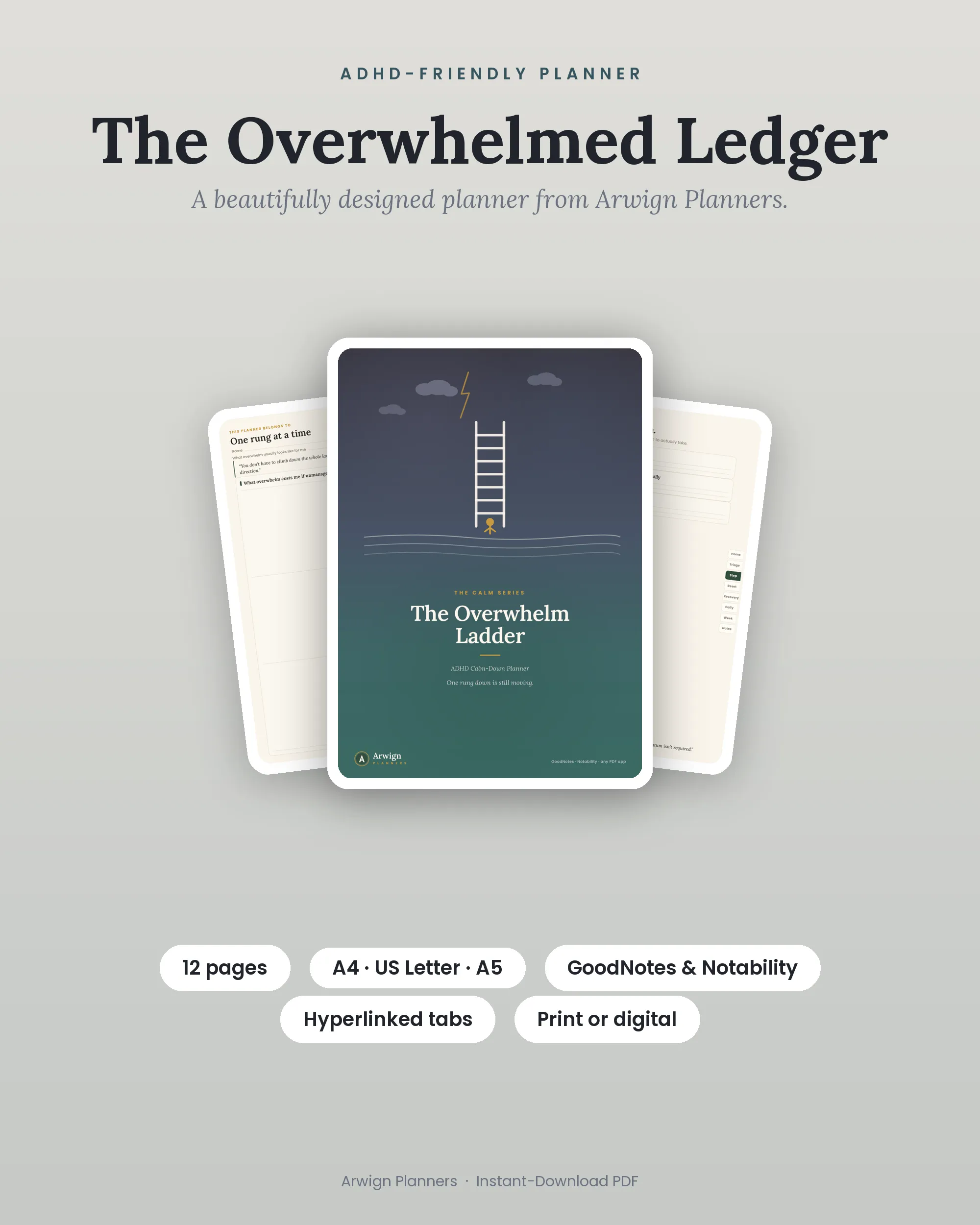 The Overwhelmed Ledger cover