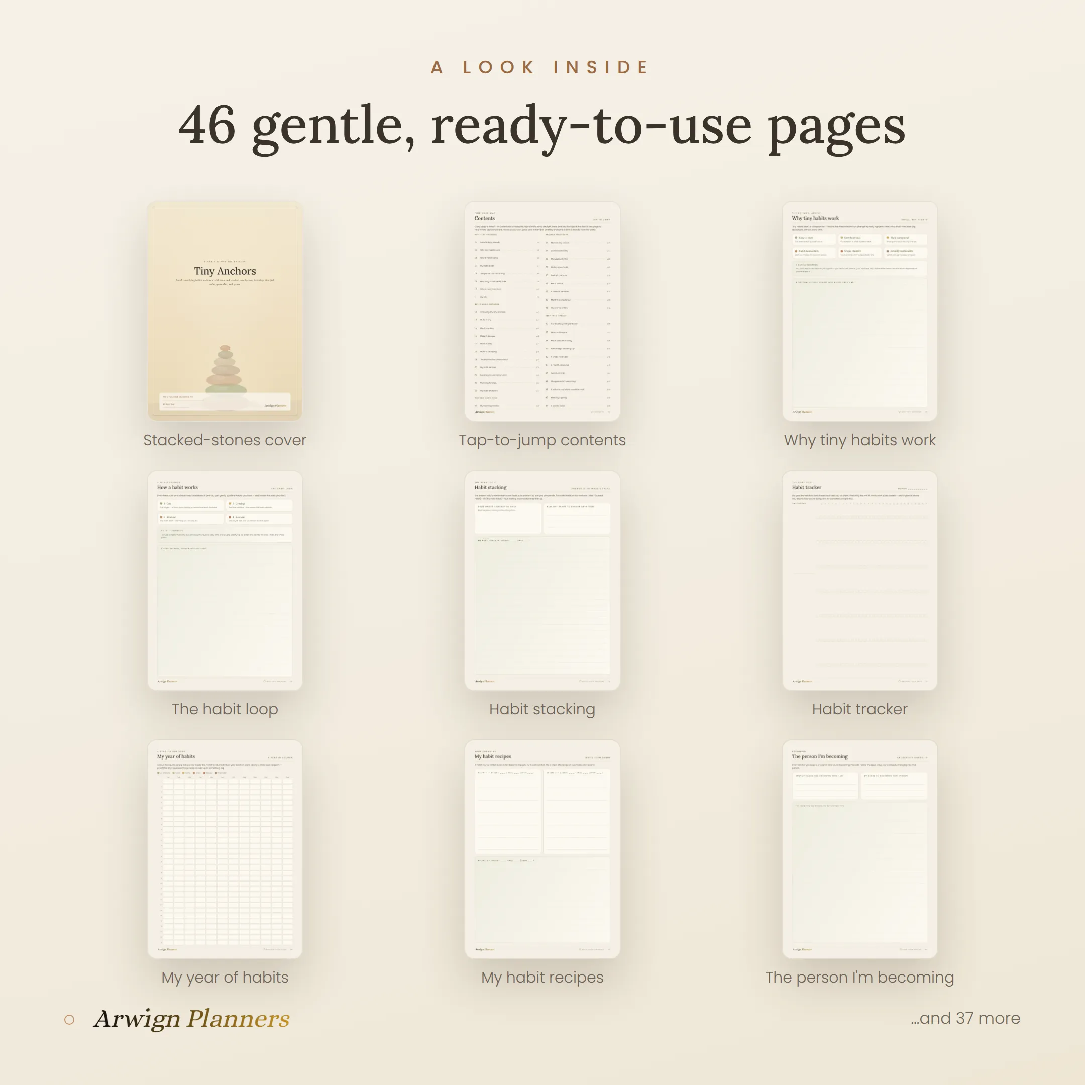 Tiny Anchors — A Habit & Routine Builder — image 2