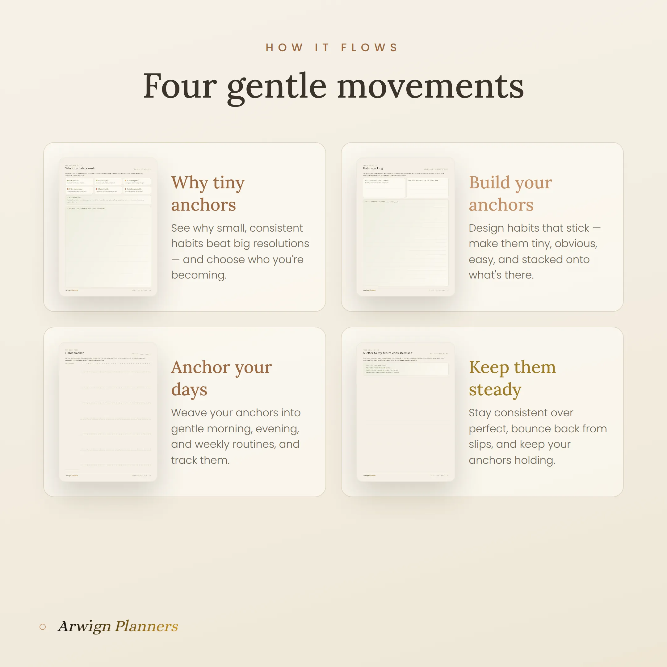 Tiny Anchors — A Habit & Routine Builder — image 5